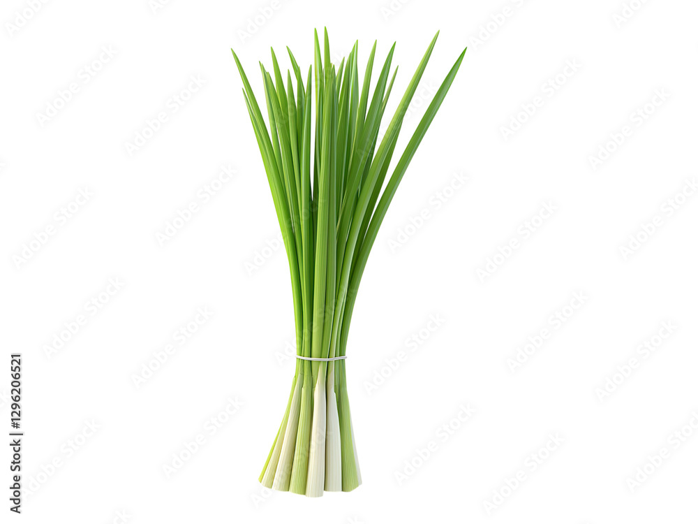 Lemongrass Varieties